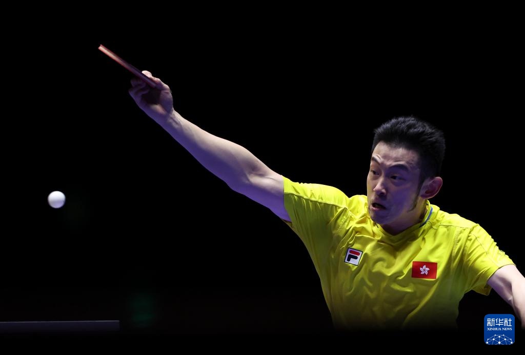 在他的指导 在他的指导